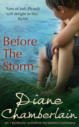Before The Storm by Diane Chamberlain 9780778303381 [USED COPY]
