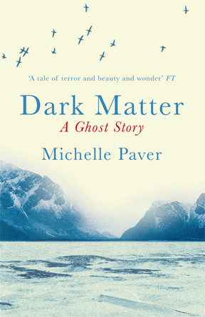 Dark Matter: the gripping ghost story from the author of WAKENHYRST by Michelle Paver 9781409121183 [USED COPY]