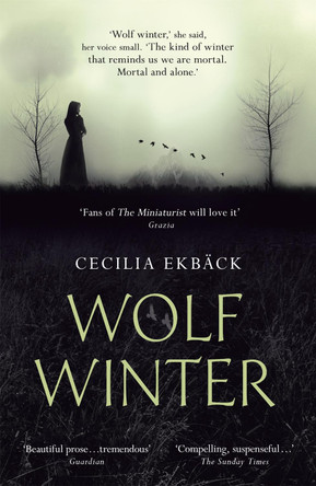 Wolf Winter by Cecilia Ekback 9781444789553 [USED COPY]