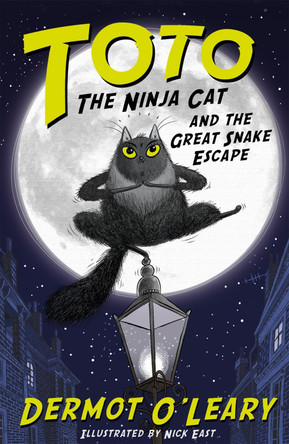 Toto the Ninja Cat and the Great Snake Escape: Book 1 by Dermot O'Leary 9781444939453 [USED COPY]