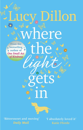 Where The Light Gets In: The Sunday Times bestseller by Lucy Dillon 9781784162092 [USED COPY]