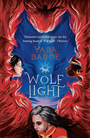 Wolf Light by Yaba Badoe 9781786695529 [USED COPY]