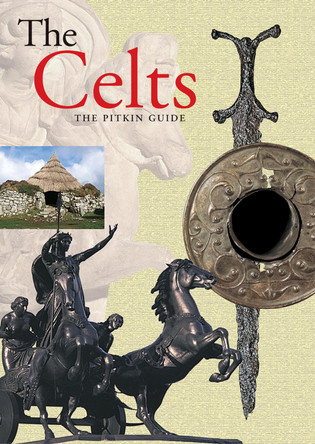 The Celts by Brian Williams 9781841651040 [USED COPY]