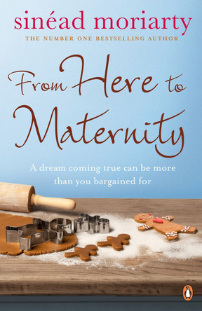 From Here to Maternity: Emma and James, Novel 3 by Sinead Moriarty 9781844880683 [USED COPY]