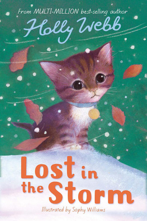 Lost in the Storm by Holly Webb 9781847150240 [USED COPY]