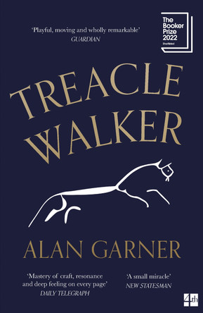 Treacle Walker by Alan Garner 9780008477806 [USED COPY]