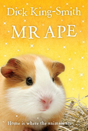 Mr Ape by Dick King-Smith 9780440863571 [USED COPY]