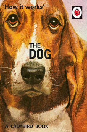 How it Works: The Dog by Jason Hazeley 9780718184353 [USED COPY]
