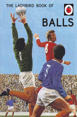 The Ladybird Book of Balls: The perfect gift for fans of the World Cup by Jason Hazeley 9780718188719 [USED COPY]