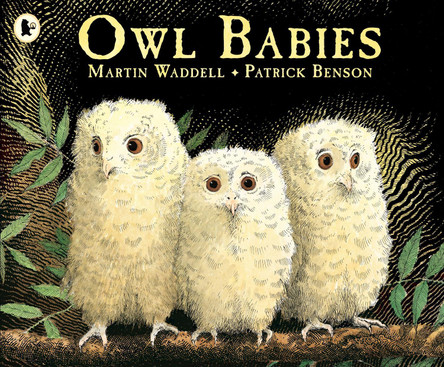 Owl Babies by Martin Waddell 9780744531671 [USED COPY]