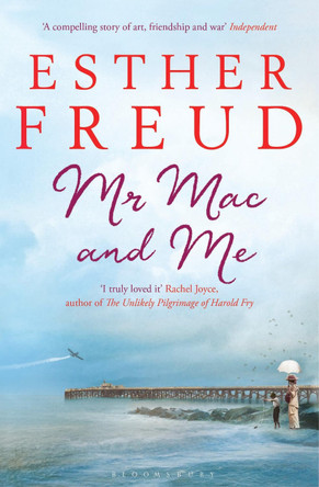 Mr Mac and Me by Esther Freud 9781408857212 [USED COPY]