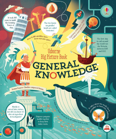 Big Picture Book of General Knowledge by James Maclaine 9781474917889 [USED COPY]