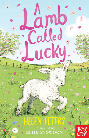A Lamb Called Lucky by Helen Peters 9781788000246 [USED COPY]