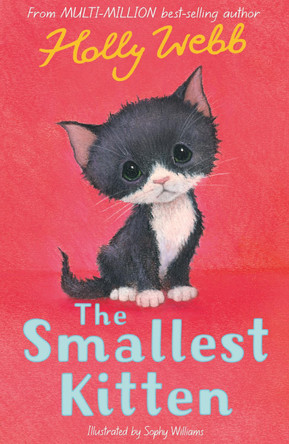 The Smallest Kitten by Holly Webb 9781788953894 [USED COPY]