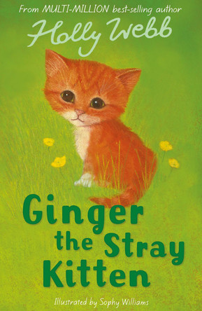 Ginger the Stray Kitten by Holly Webb 9781847150790 [USED COPY]