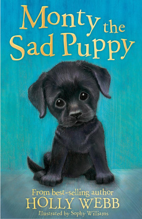 Monty the Sad Puppy by Holly Webb 9781847157737 [USED COPY]