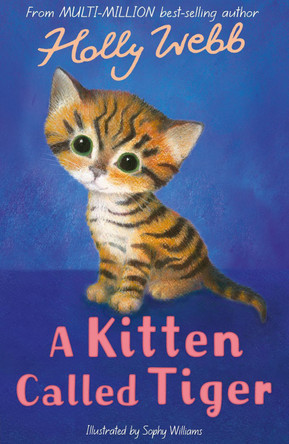 A Kitten Called Tiger by Holly Webb 9781847157881 [USED COPY]