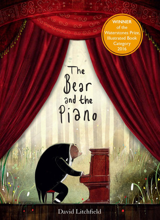 The Bear and the Piano by David Litchfield 9781847807182 [USED COPY]
