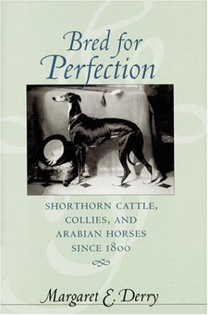 Bred for Perfection: Shorthorn Cattle, Collies, and Arabian Horses since 1800 by Margaret E. Derry 9780801873447