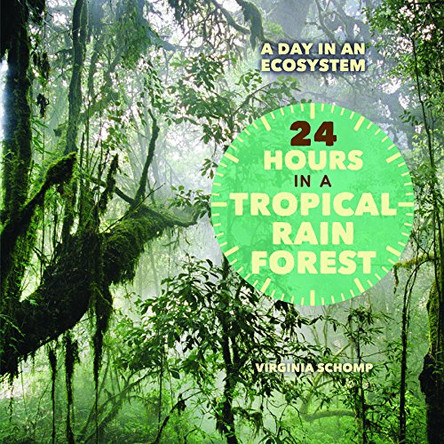 24 Hours in a Tropical Rain Forest by Virginia Schomp 9781627120685