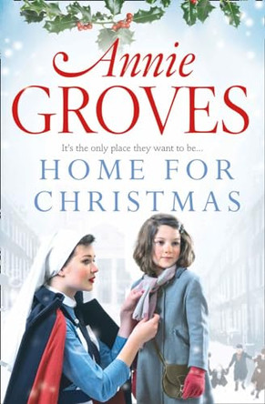 Home for Christmas by Annie Groves 9780007361519 [USED COPY]