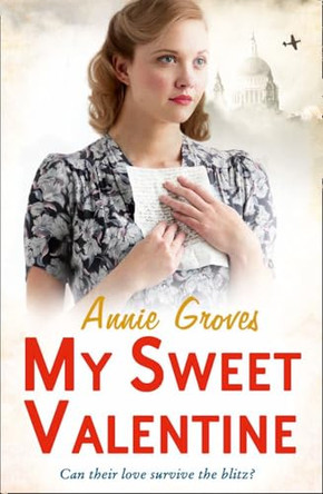 My Sweet Valentine by Annie Groves 9780007361533 [USED COPY]