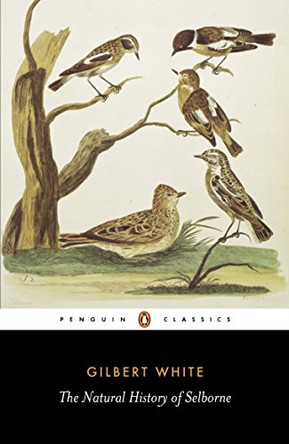 The Natural History of Selborne by Gilbert White 9780140431124 [USED COPY]