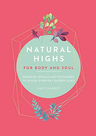 Natural Highs: 70 Instant Energizers for Body and Soul by Mary Lambert 9780753733929 [USED COPY]