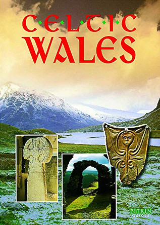 Celtic Wales by John Watney 9780853727989 [USED COPY]