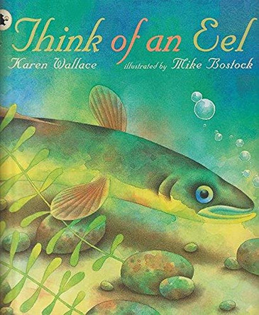 Think Of An Eel Library Edition by Karen Wallace 9781406312010 [USED COPY]
