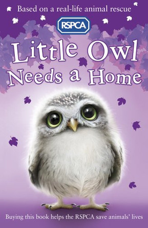 Little Owl Needs a Home by Sue Mongredien 9781407135359 [USED COPY]