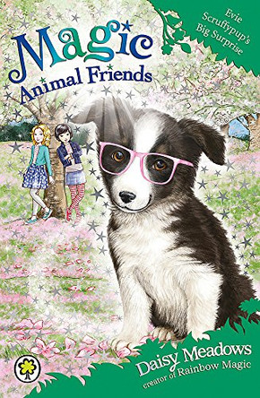 Magic Animal Friends: Evie Scruffypup's Big Surprise: Book 10 by Daisy Meadows 9781408338810 [USED COPY]