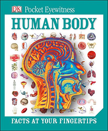 Pocket Eyewitness Human Body by DK 9781409324836 [USED COPY]