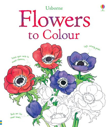 Flowers Colouring Book by Sue Meredith 9781409523178 [USED COPY]