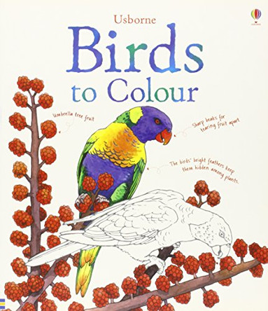 Birds to Colour by Megan Cullis 9781409544760 [USED COPY]