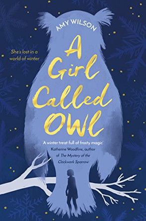 A Girl Called Owl by Amy Wilson 9781509832460 [USED COPY]
