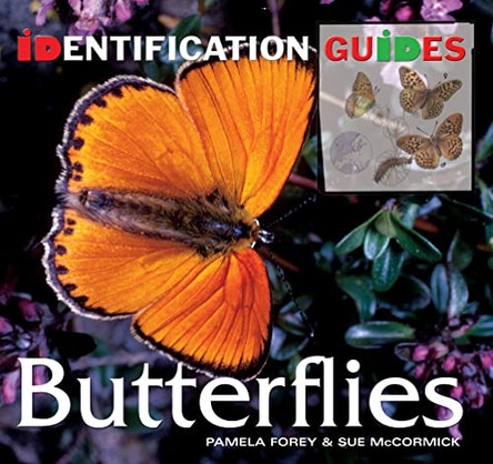 Butterflies: Identification Guide by Pamela Forey 9781844518418 [USED COPY]
