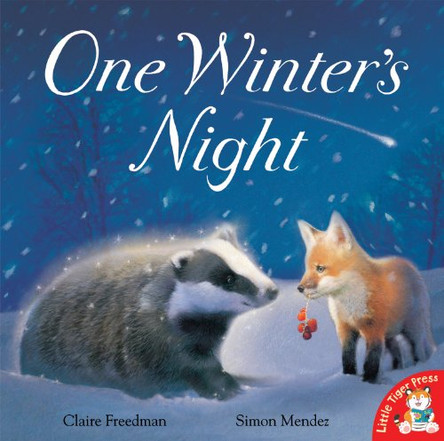 One Winter's Night by Claire Freedman 9781845069728 [USED COPY]