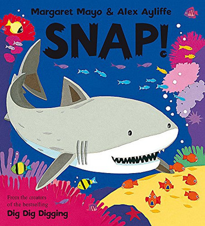 Snap! by Margaret Mayo 9781846167119 [USED COPY]