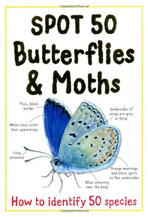 Spot 50 Butterflies & Moths by Belinda Gallagher 9781848105973 [USED COPY]