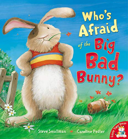 Who's Afraid of the Big Bad Bunny? by Steve Smallman 9781848952263 [USED COPY]