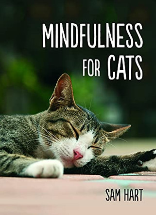 Mindfulness for Cats by Sam Hart 9781849537803 [USED COPY]