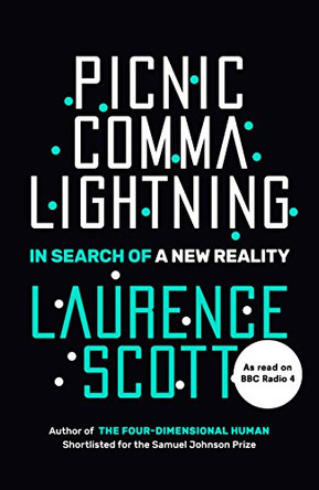 Picnic Comma Lightning: In Search of a New Reality by Laurence Scott 9781785151118 [USED COPY]