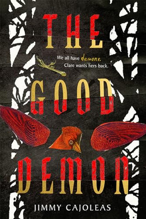 The Good Demon by Jimmy Cajoleas 9781419731273