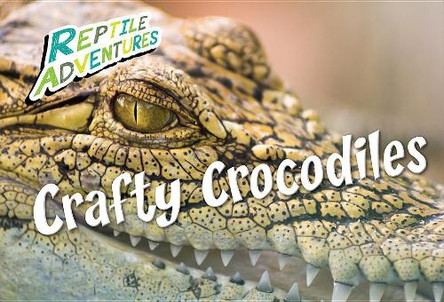 Crafty Crocodiles by Rebecca Johnson 9781508193609