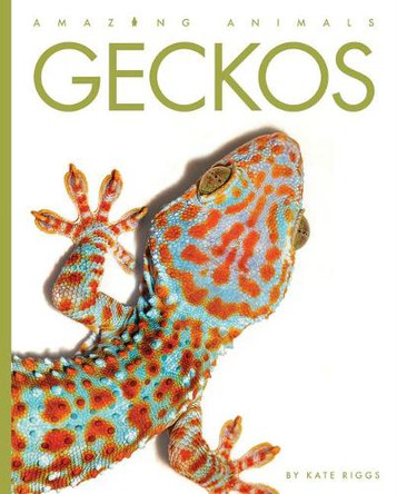 Geckos by Kate Riggs 9781682770986