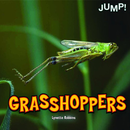 Grasshoppers by Lynette Robbins 9781448850150