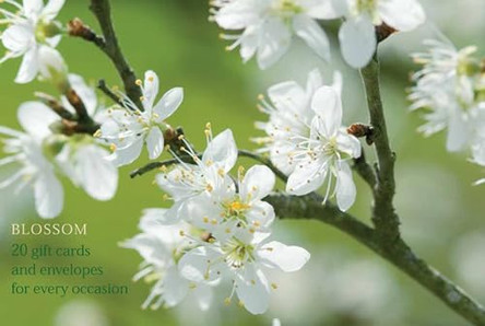 Card Box of 20 Notecards and Envelopes: Blossom: A Delightful Pack of High-quality Flower Gift Cards and Decorative Envelopes by Anness Punlishing 9780754821212