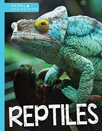 Reptiles by Steffi Cavell-Clarke 9781534520219