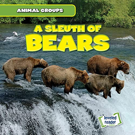 A Sleuth of Bears by Seth Lynch 9781538263594